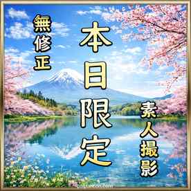 FC2-PPV-4852793 - 【先着割】【無】本日限定。素人撮影。巷で噂のあの美女のハメ撮りです。 cover.jpg